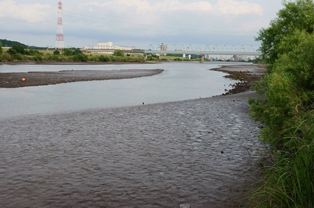 江戸川　干潮