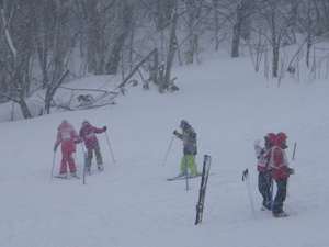IMGP0934_R