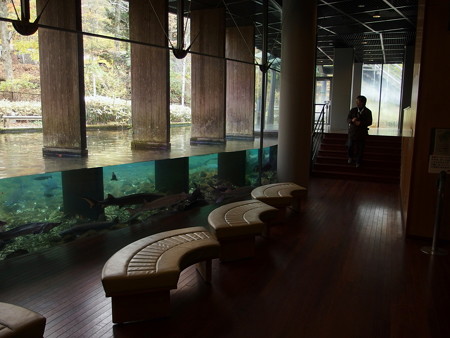 富士湧水の里水族館 1F