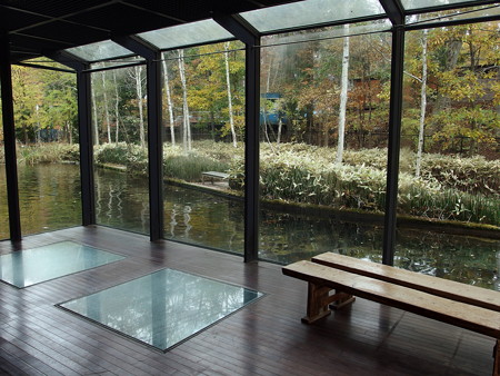 富士湧水の里水族館 1F