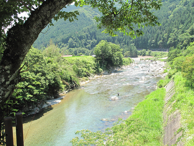 IMG_9501 馬瀬川 写真: IMG_9501 馬瀬川