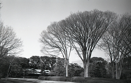 201202-03-004PZ