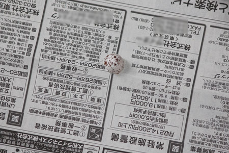 プレゼント