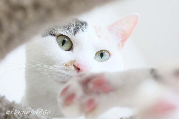 うふっ☆