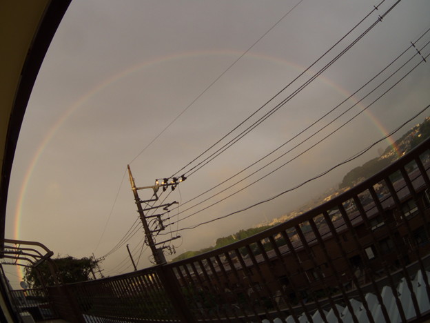 明日への架け橋♪