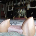 Photos: 難波八坂神社P5310906