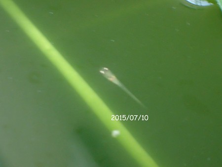 P7101546