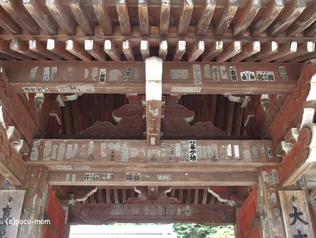 室生寺表門 蟇股・蛙股 P9210018