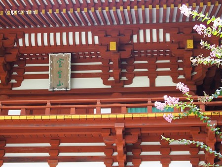 室生寺仁王門P9210026