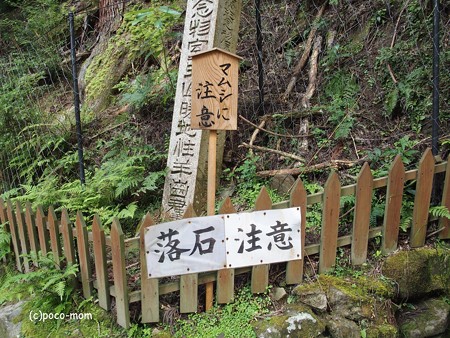 室生寺 マムシに注意 P9210098
