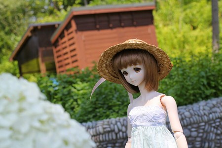 IMG_7575~2