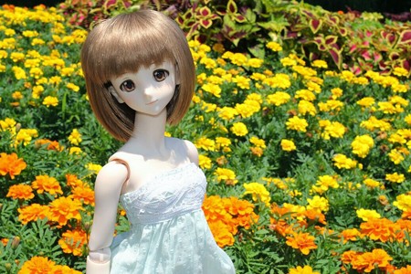 IMG_7620~2