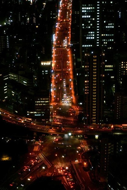 東京タワーからの夜景_6089