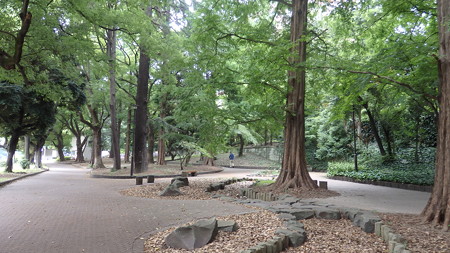 20150814東京散策 (4)