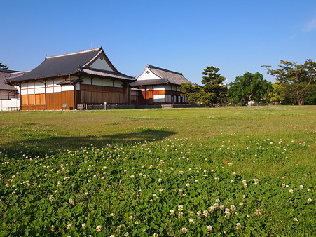 佐賀