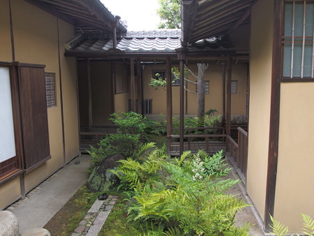 P6062566