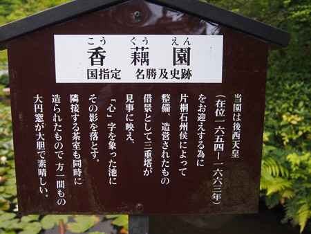 P6069374