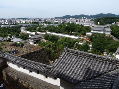 P6072666