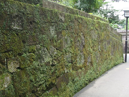 P6213054