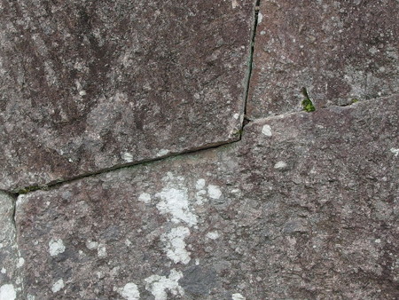 P6213091