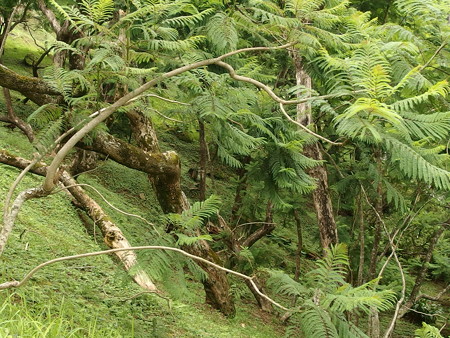 P6213157