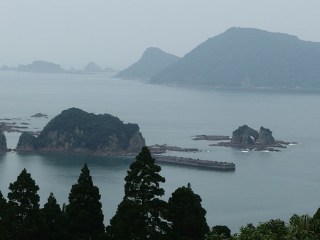 P6213166