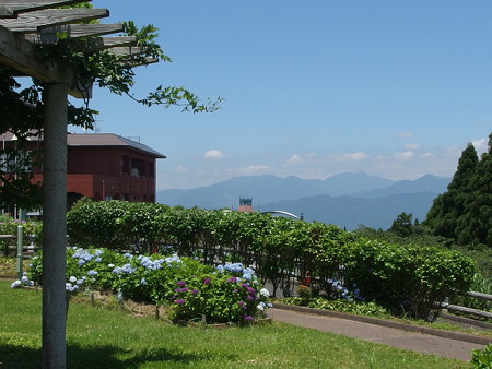 P6293200