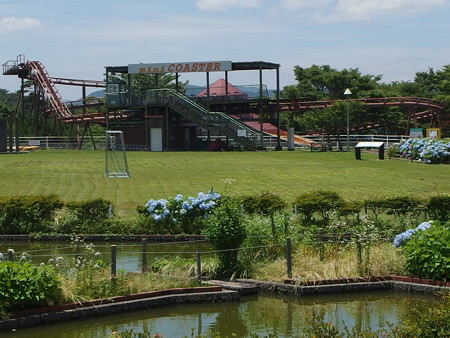P6293204