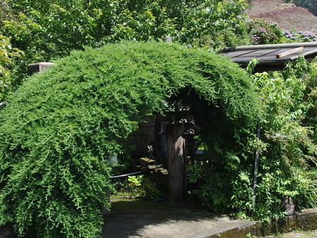 P6293245