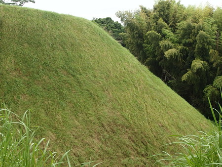 P7073373