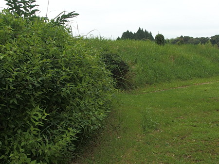 P7073381