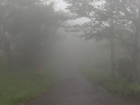 P7123395