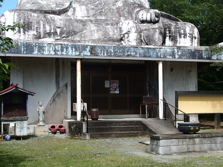 P7193439