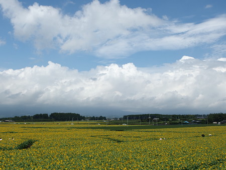 P8194014