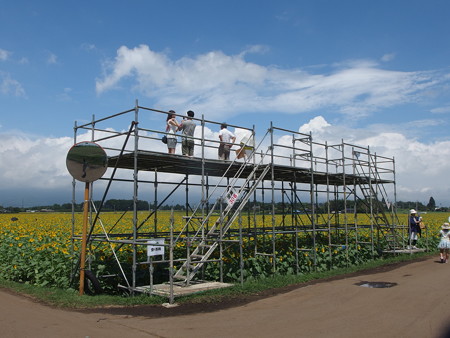 P8194019