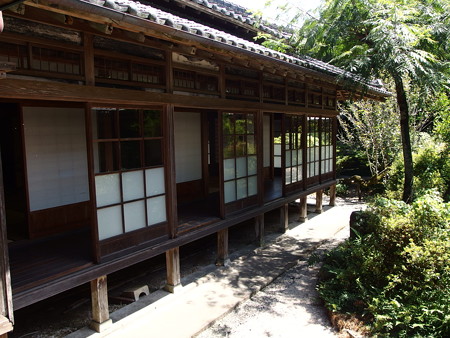 P8234290