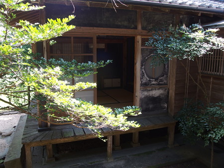 P8234334