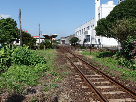 P8234350