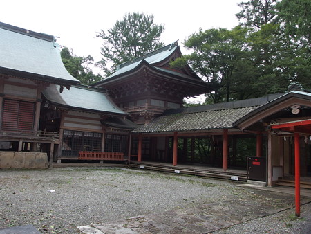 P8264501