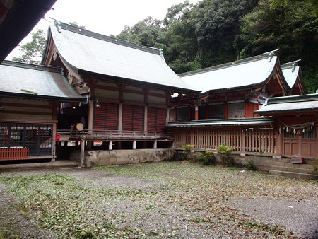 P8264510