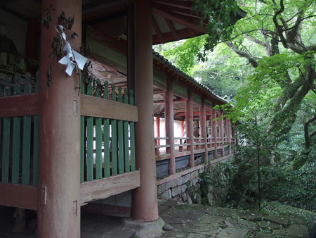 P8264570