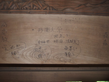 P8264538