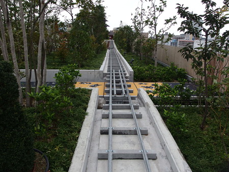 P8264589