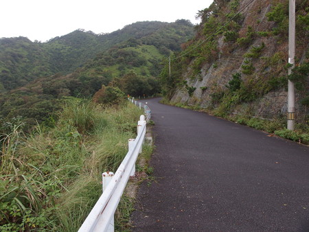 P9064787