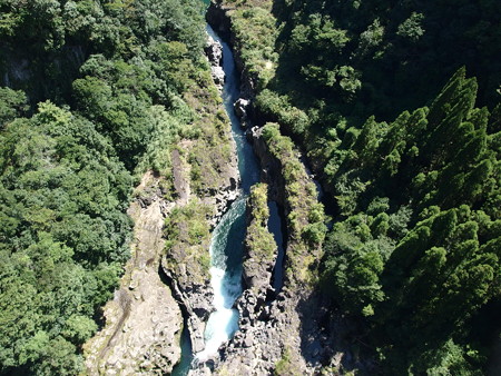 P9124838
