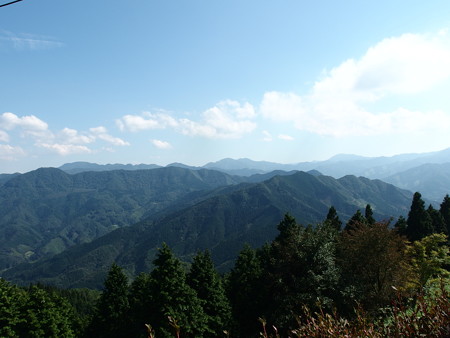 P9124878