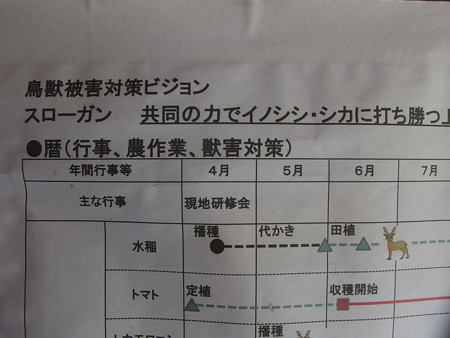 P9124895