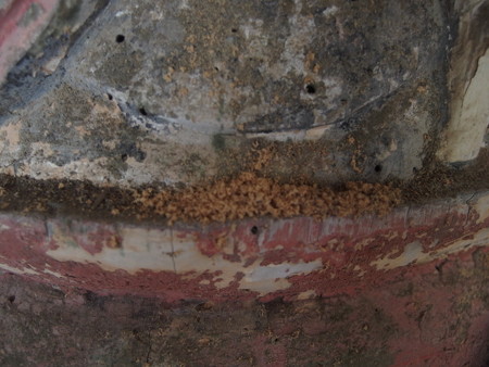 P9124856