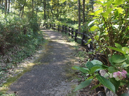 P9134931