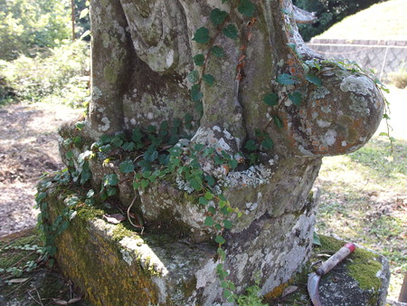 P9135033